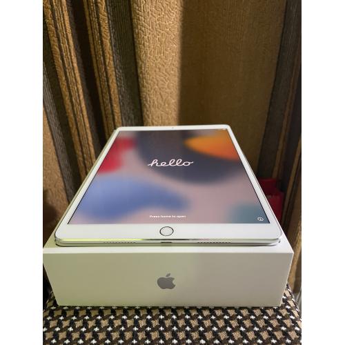 Apple iPad Pro 1st Gen. 256GB, Wi-Fi, 10.5 in - Silver А1701 - като нов + кутия! 
